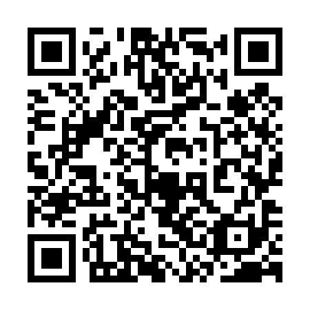 QR code for 3SO 491