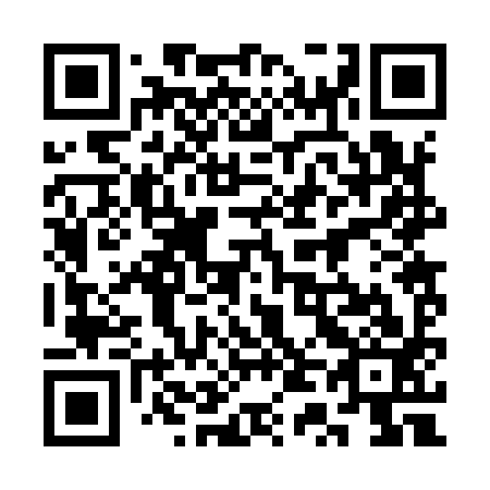 QR code for 3T 2993