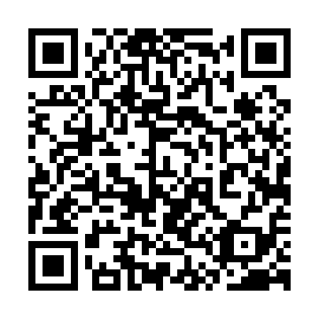 QR code for 3T 4119