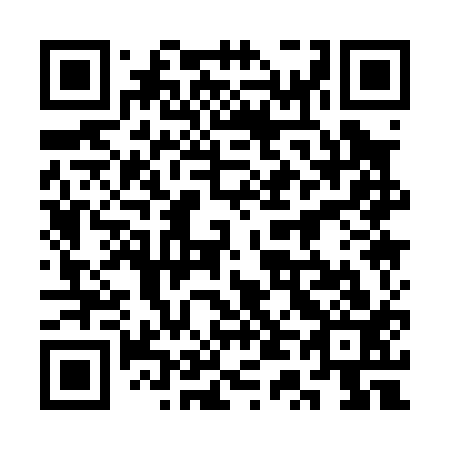 QR code for plate 3T 1013
