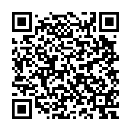 QR code for plate 3T 2011