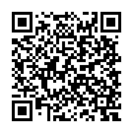QR code for plate 3T 4541