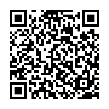 QR code for plate 3T 4733