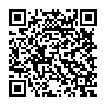 QR code for plate 3T 4800
