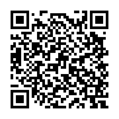 QR code for plate 3TG 041