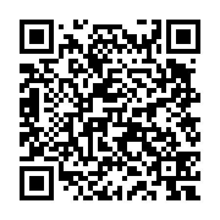 QR code for plate 3TG 439