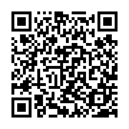 QR code for plate 3TL 602