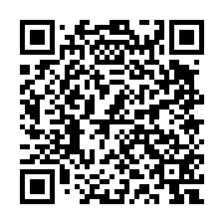 QR code for plate 3TQ 451