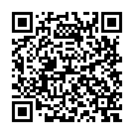 QR code for plate 3TR 913
