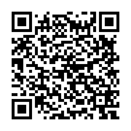 QR code for plate 3US 868