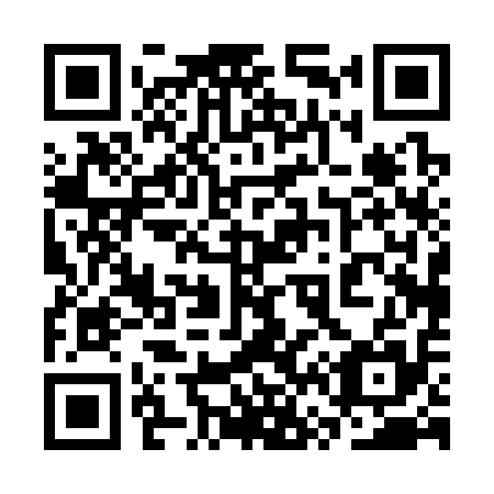 QR code for 3V 0315