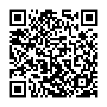 QR code for 3V 9955