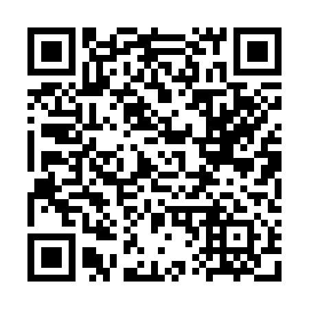 QR code for plate 3V 0311