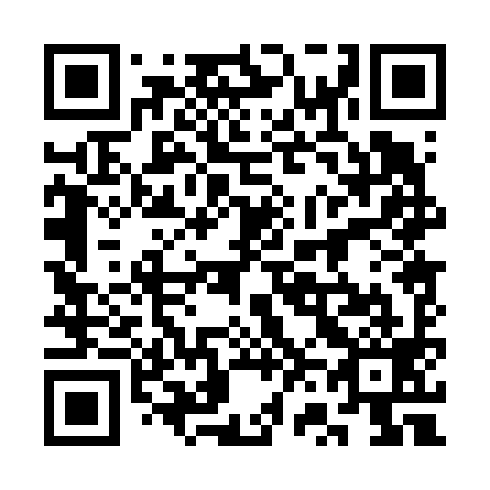 QR code for 3V0699