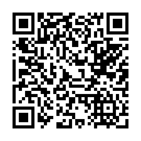 QR code for plate 3V 4645