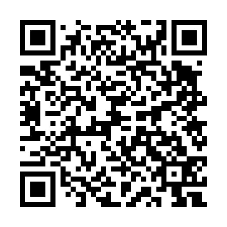 QR code for plate 3VG 433