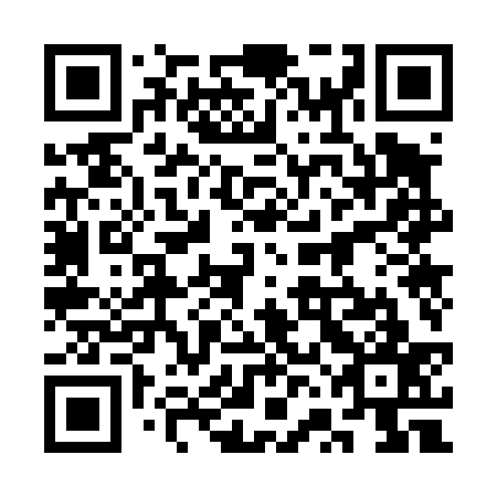 QR code for plate 3VO 437