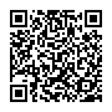 QR code for plate 3VS 208