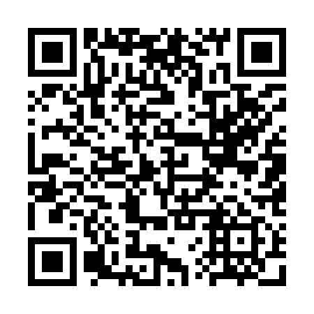 QR code for plate 3VU 919