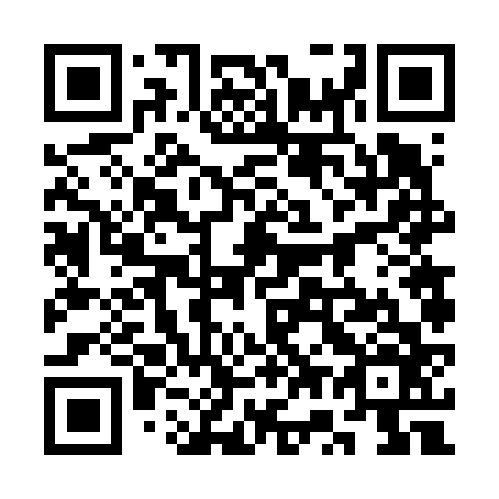 QR code for 3W 6666
