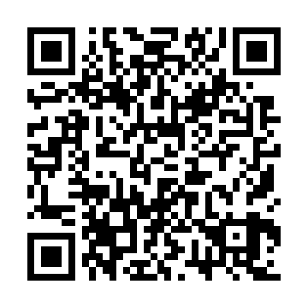 QR code for 3W 9729