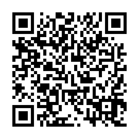 QR code for plate 3WZ 517