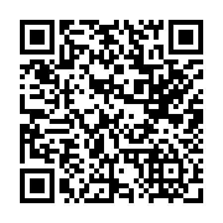 QR code for 3X 3935