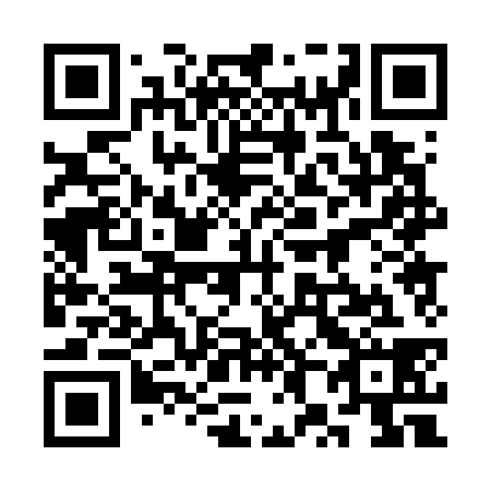 QR code for plate 3X 0738