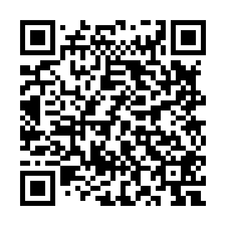 QR code for plate 3X 3808