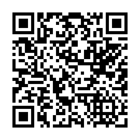 QR code for plate 3X 5656