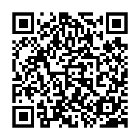 QR code for plate 3X 6675