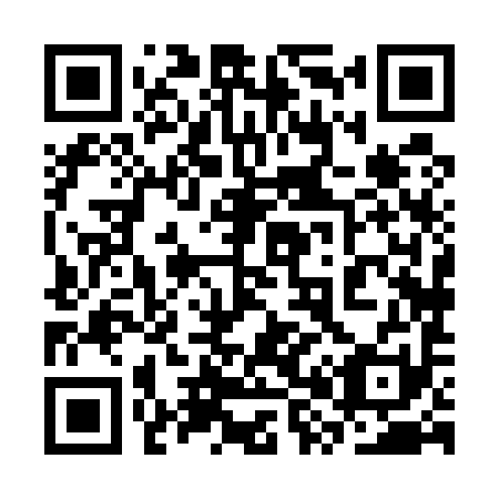 QR code for plate 3X 8591