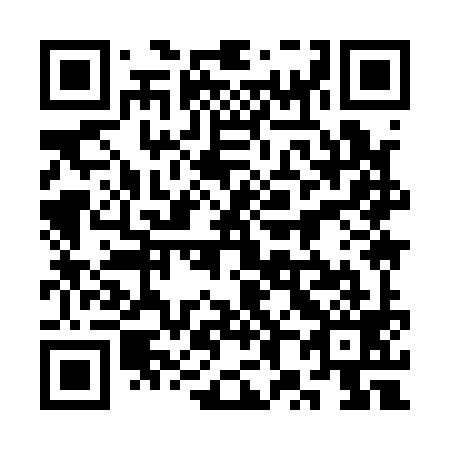 QR code for plate 3X 9199