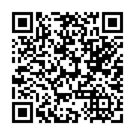 QR code for 3XG394