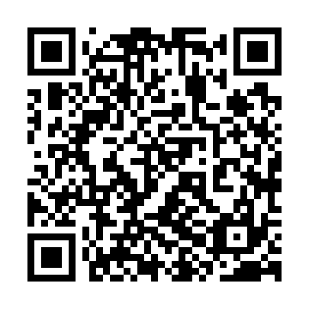 QR code for plate 3XH 737