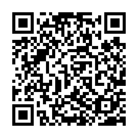 QR code for plate 3XL 601