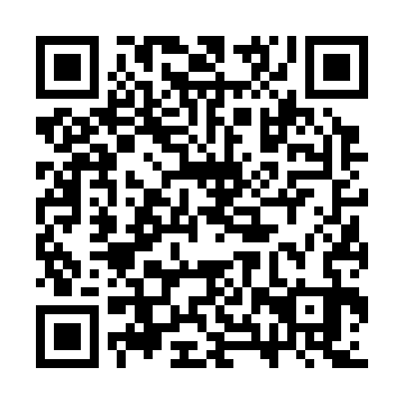 QR code for 3XV 333