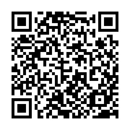 QR code for plate 3Y 1385