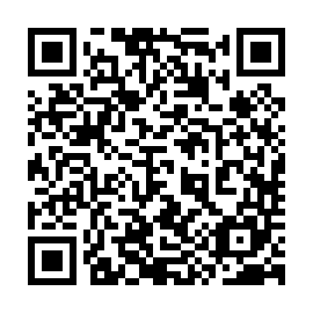 QR code for plate 3Y 2045