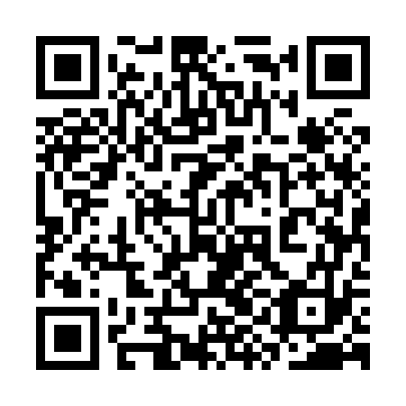 QR code for plate 3YE 873