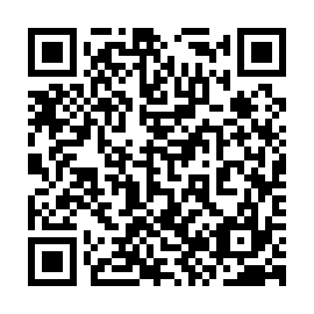 QR code for 3Z 3137