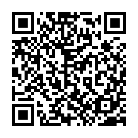 QR code for 3Z 9950