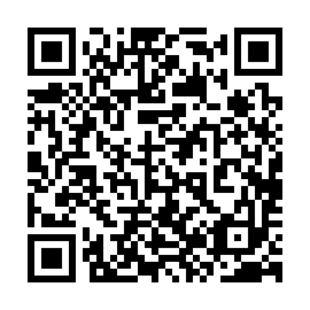 QR code for 3Z0393