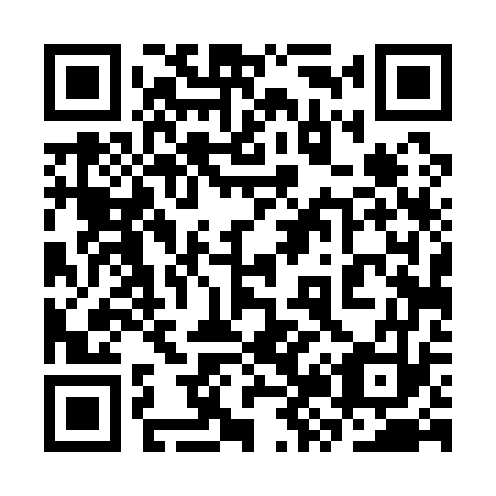QR code for 3Z4173