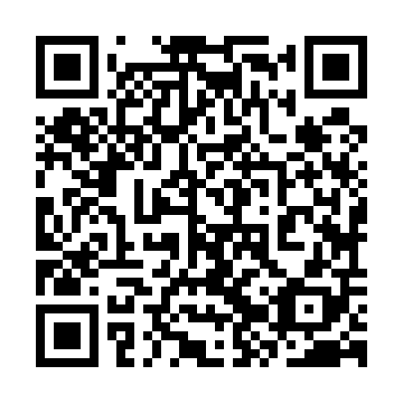 QR code for plate 3ZZ 508