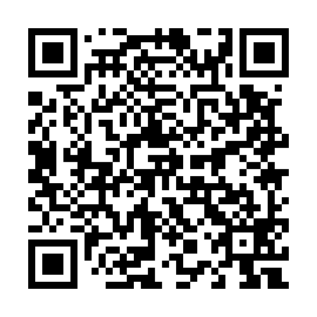 QR code for plate 40Q 599