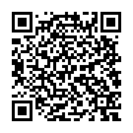 QR code for 40V 533