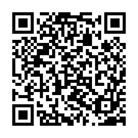 QR code for plate 40W 053