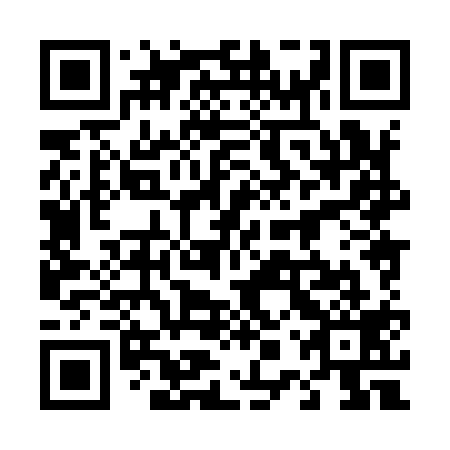 QR code for 40X919