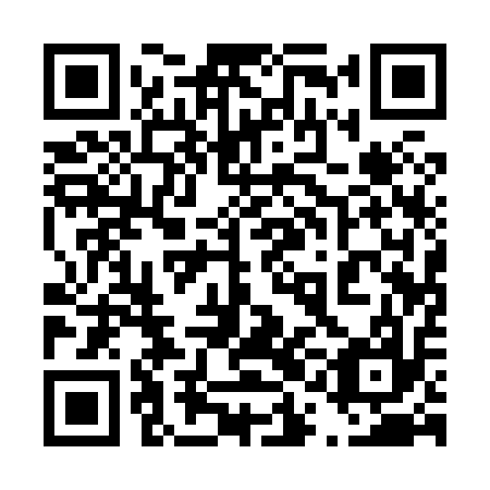 QR code for plate 41A 817